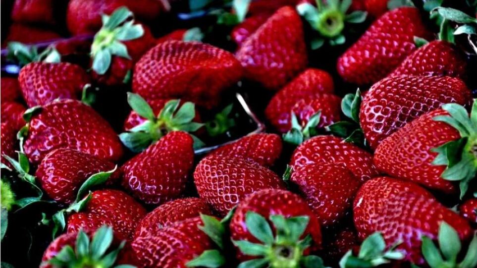arouraios-image-strawberries
