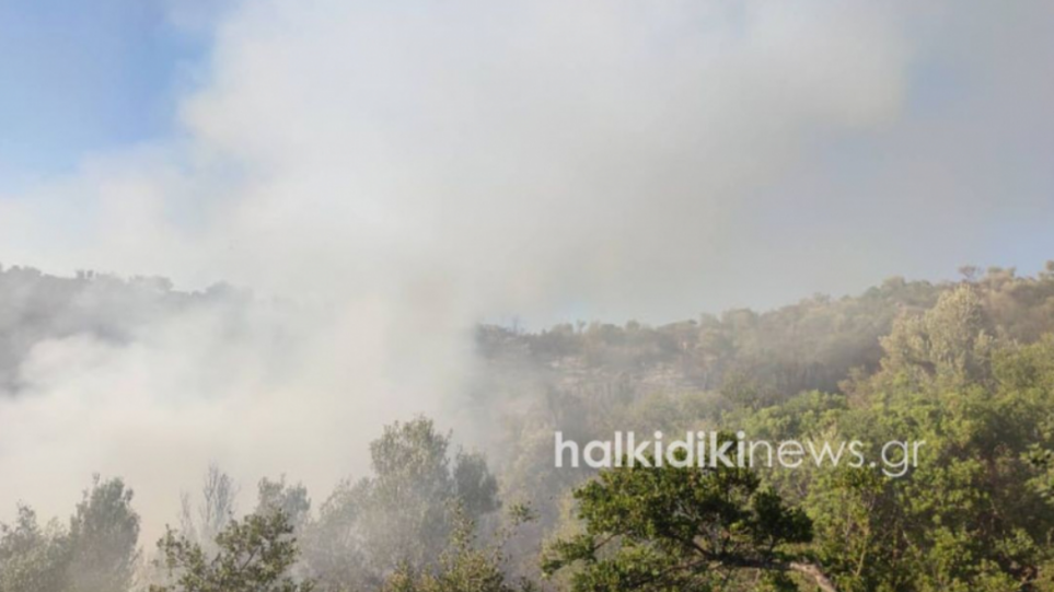 Φωτιά τώρα:  Σε πλήρη εξέλιξη η πυρκαγιά στο Άγιον Όρος, δύο τα πύρινα μέτωπα