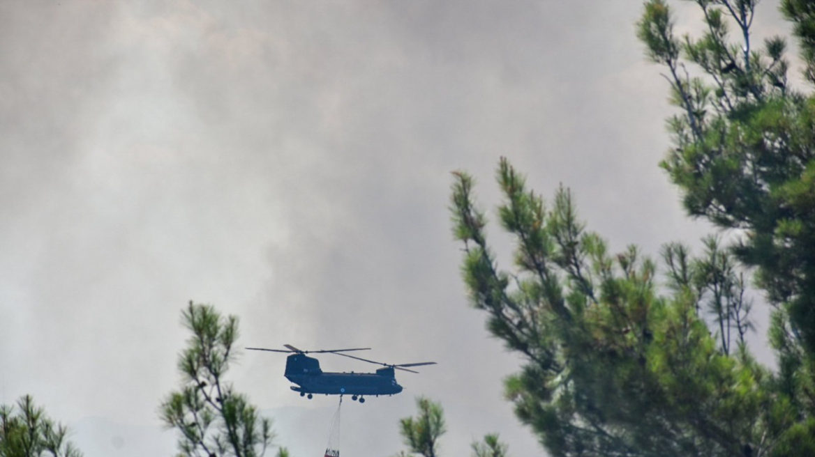 Βίντεο: Δείτε τη μάχη των πυροσβεστικών ελικοπτέρων στο δάσος της Δαδιάς