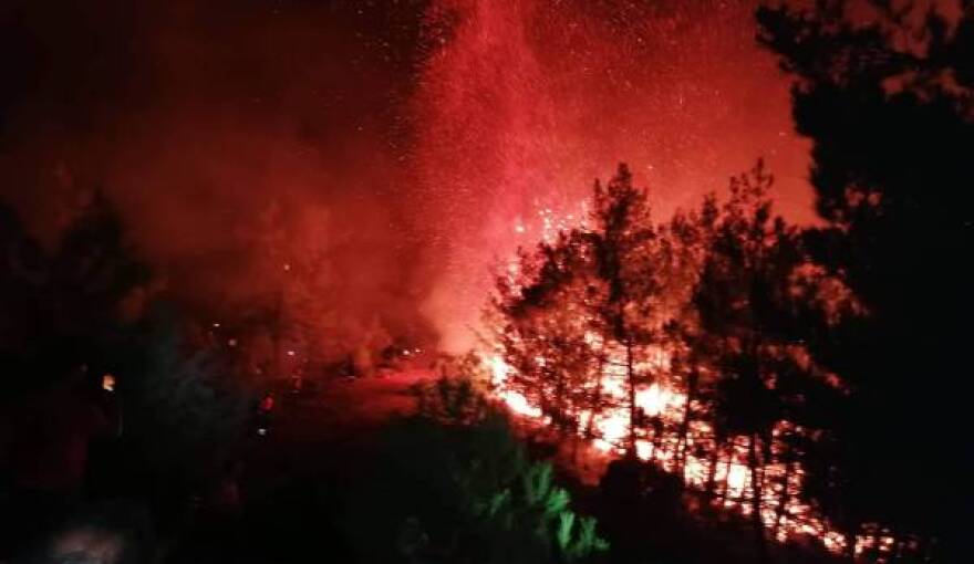 Πυκνό δάσος καίει η φωτιά στη Θάσο – Ενισχύονται οι δυνάμεις