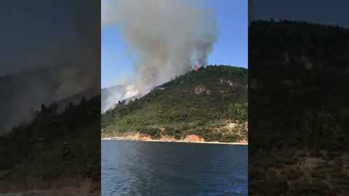 Πυρκαγιά στο Άγιο Όρος: Ολονύκτια μάχη με τις φλόγες δίνουν οι πυροσβεστικές δυνάμεις