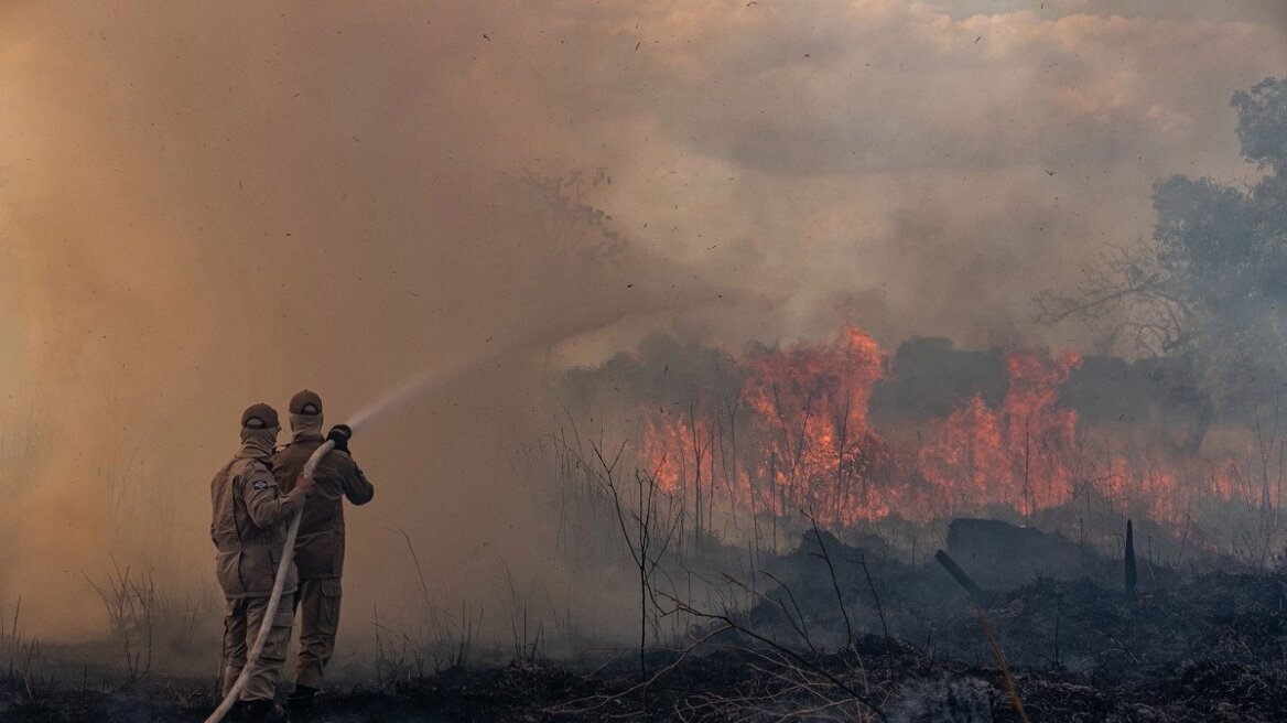 arouraios-image-amazon_wildfire