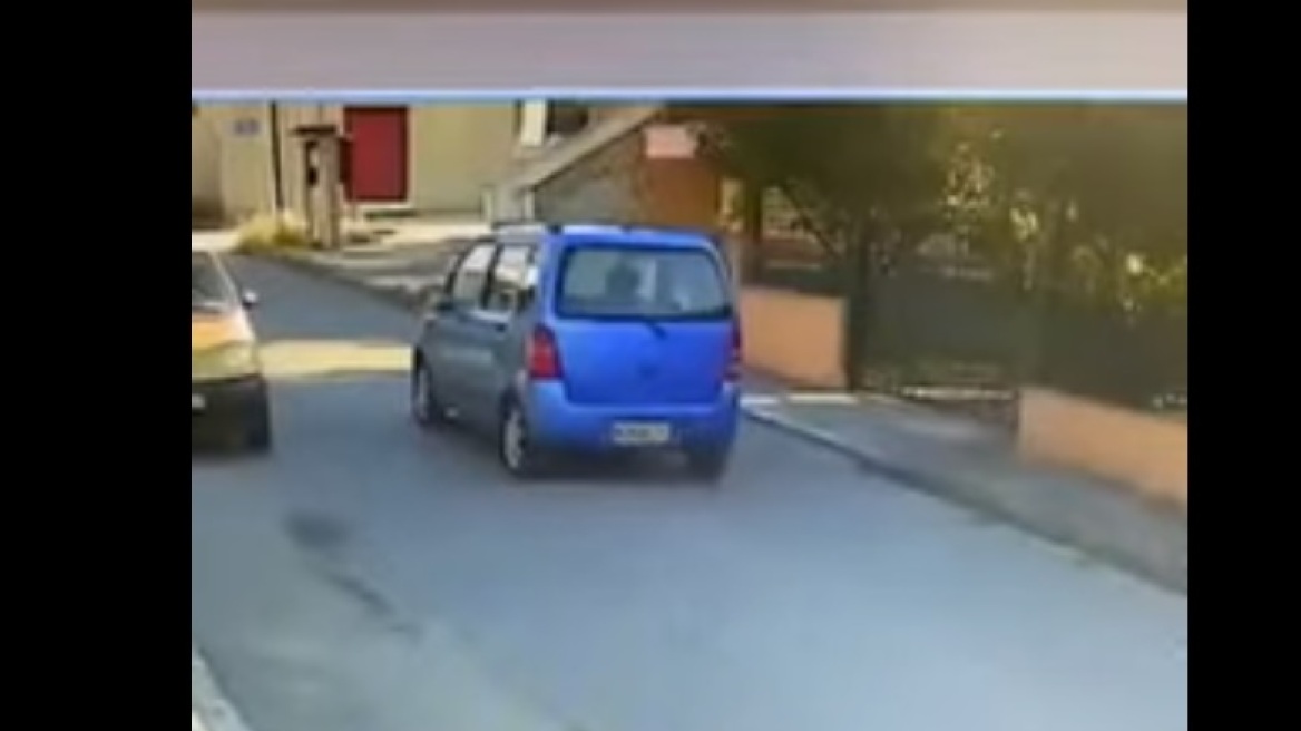 Θεσσαλονίκη: Ταυτοποιήθηκε η οδηγός ΙΧ που παρέσυρε σκύλο και τον παράτησε αιμόφυρτο – Βίντεο
