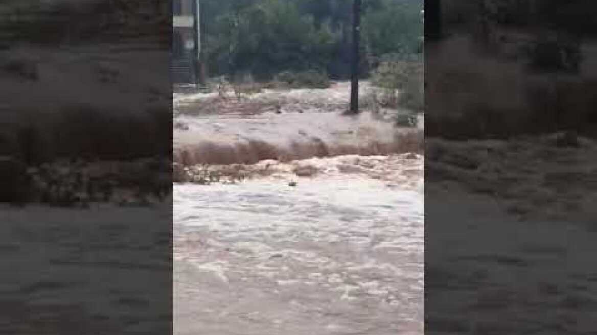 «Ποτάμι» οι δρόμοι στα Σύβοτα από την κακοκαιρία, έπεσε η οροφή σε σχολείο στην Ηγουμενίτσα – Δείτε βίντεο