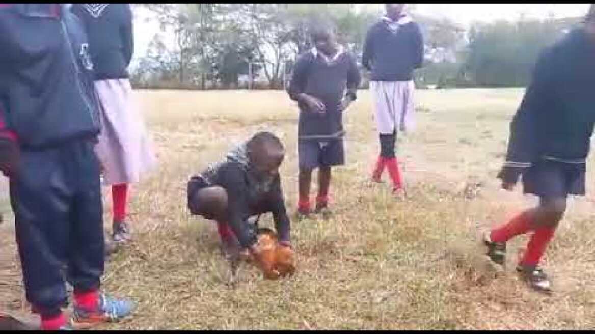 Κένυα: Μαθητές δημοτικού σφαγιάζουν κοτόπουλα για να αποδείξουν στους δασκάλους τους ότι τους ακούν προσεκτικά