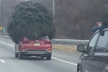 Όταν το χριστουγεννιάτικο δέντρο σου είναι… μεγαλύτερο από το αυτοκίνητό σου