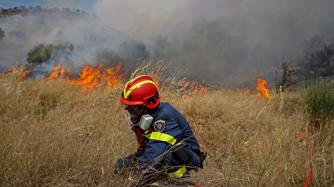 Κορινθία: Φωτιά ξέσπασε στο Βέλο