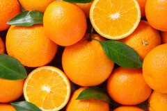 portokalia.jpg